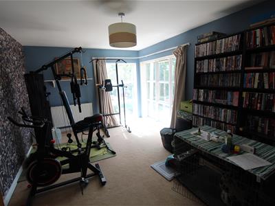 Picture 8